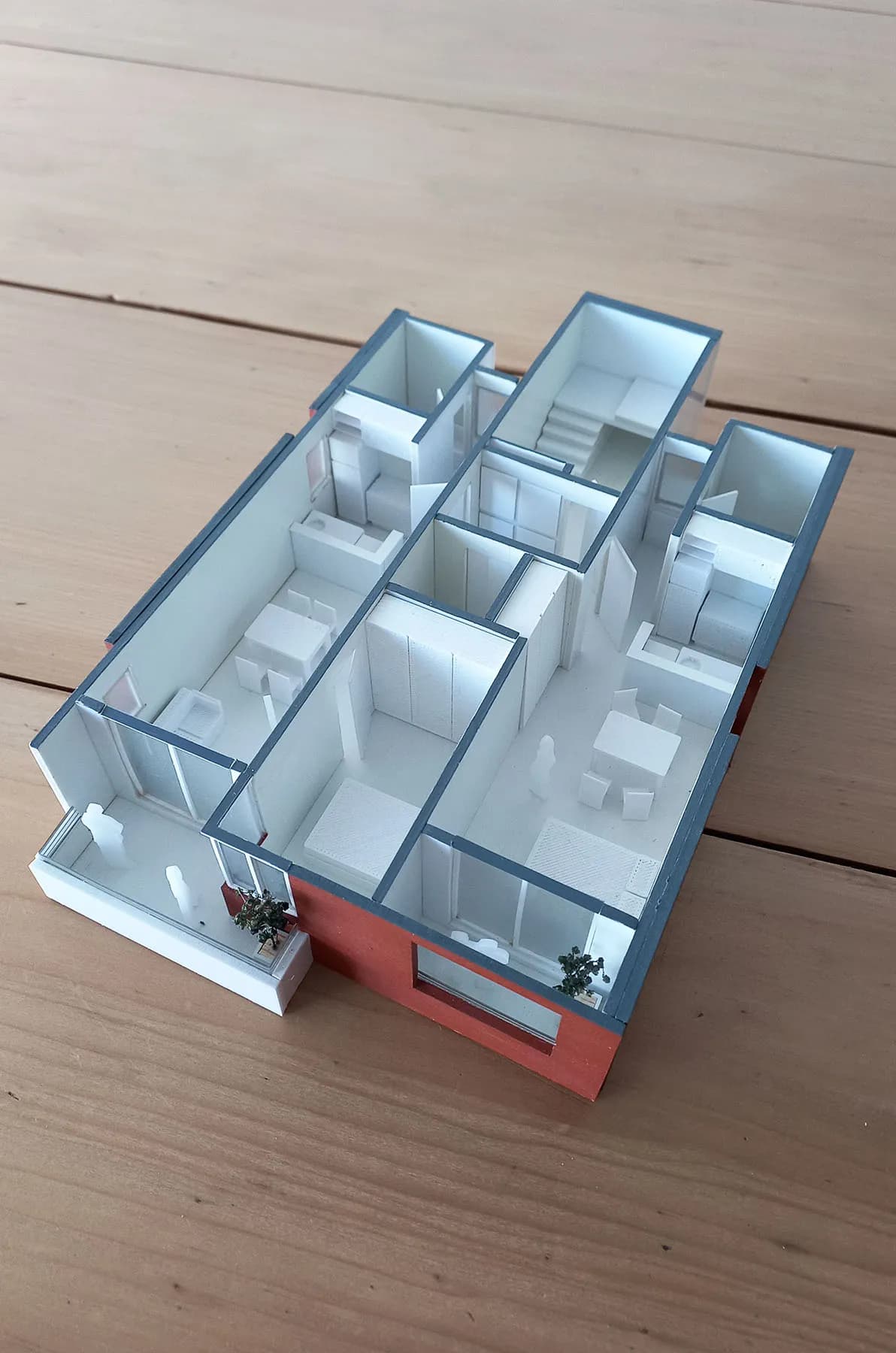 Pasco- Planta interna tipo – Rosario